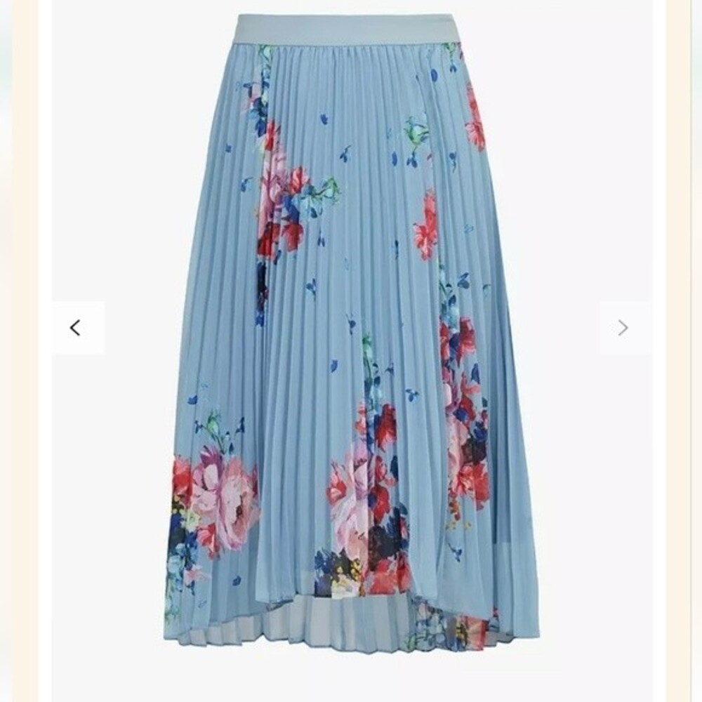 Ted Baker Harrpa Raspberry Ripple Pleated Midi skirt light blue US size 6